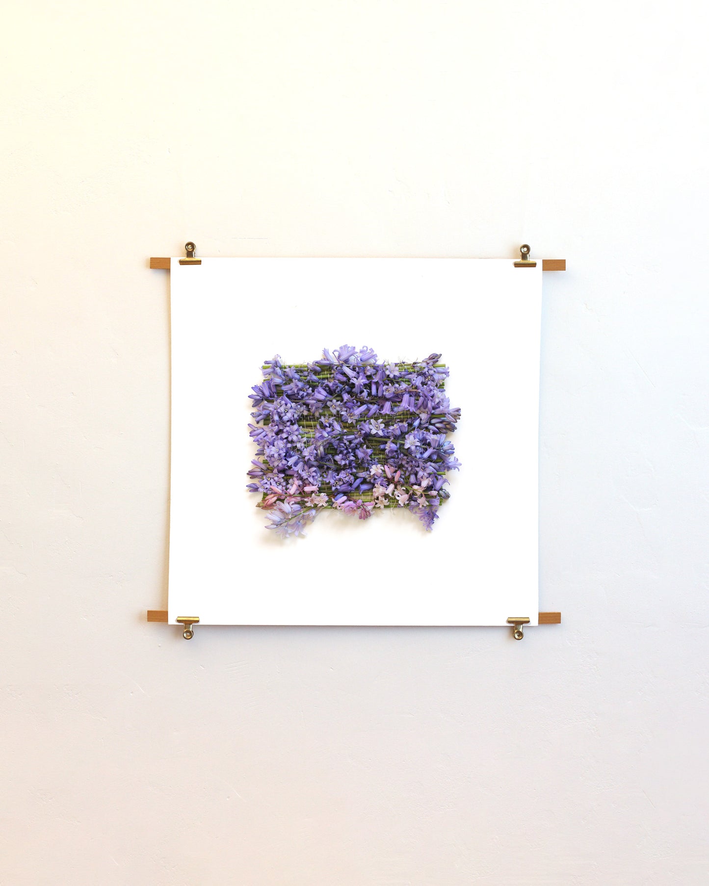 Hyacinthoides - May. Fine art print.